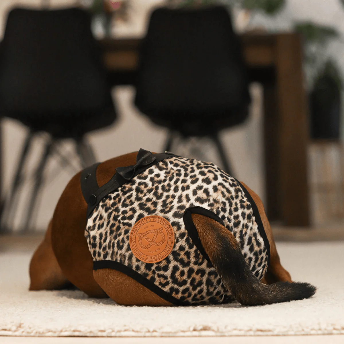 Staffordshire Bull Terrier 1935® Hygiene Panties with Suspenders - Leopard - Bild 4