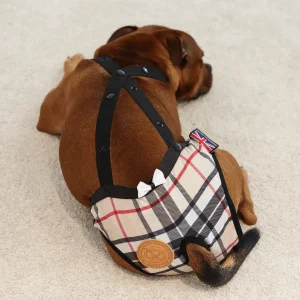 Staffordshire Bull Terrier 1935® Hygiene Panties with Suspenders - Staffburry Beige