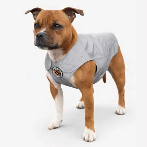 Staffordshire Bull Terrier 1935® Reflective Vest - Reversible - Silver & Neon Orange