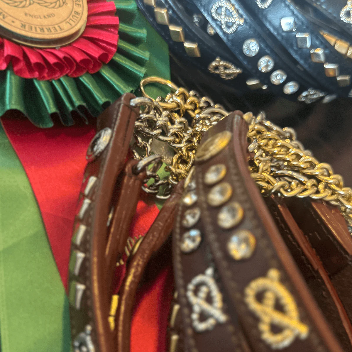 Staffordshire Bull Terrier 1935® Show Half Check Collar & Leash Set - Victory - Black & Gold - Bild 4