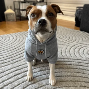 Staffordshire Bull Terrier 1935® Hoodies - Grey