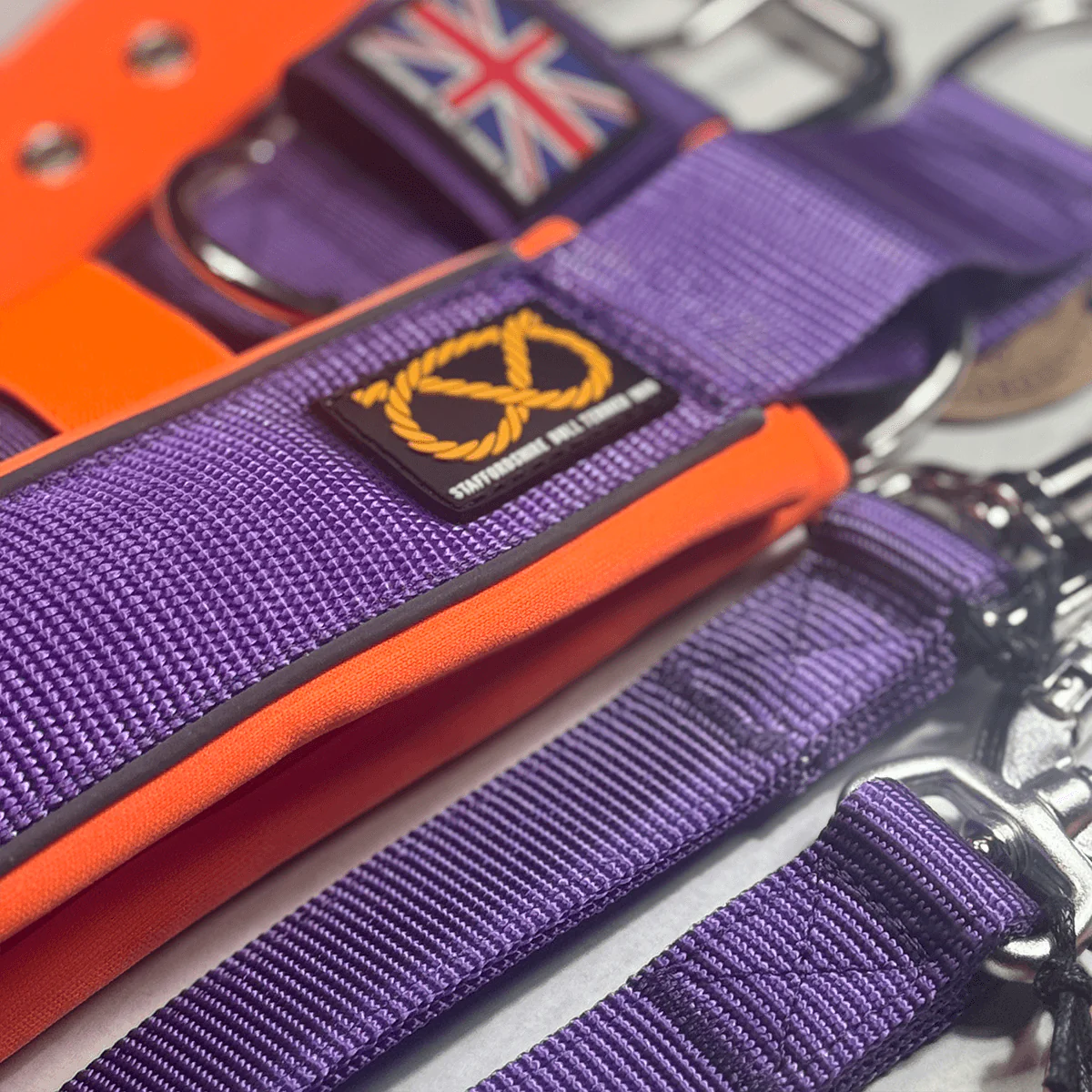 Staffordshire Bull Terrier 1935® Nylon Leash - Dark Purple & Neon Orange - Carabiner - Bild 5