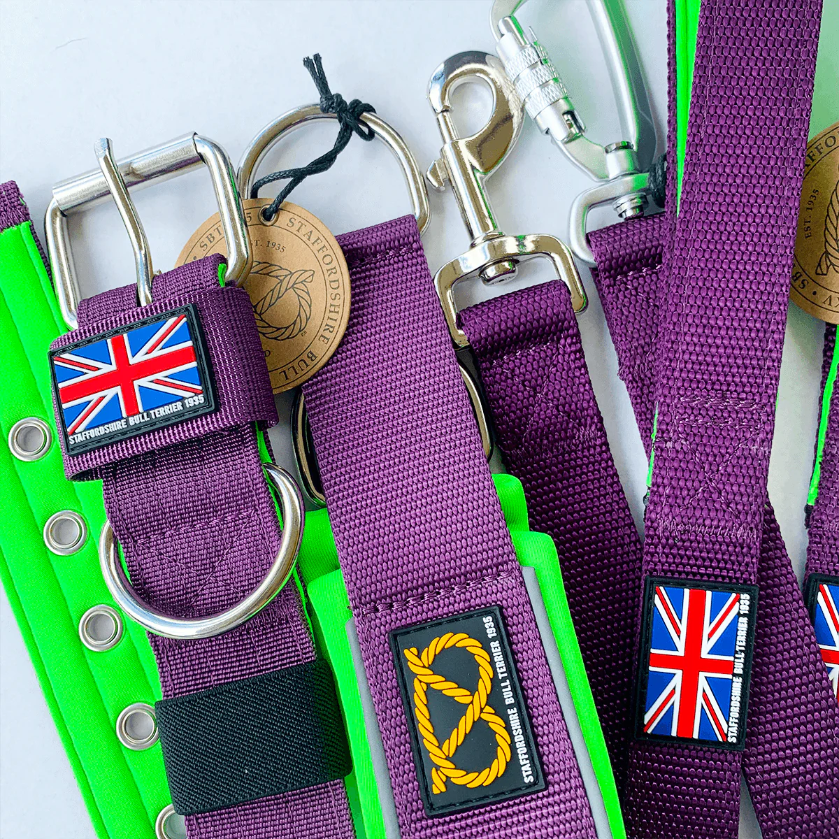Staffordshire Bull Terrier 1935® Nylon Collar - The Joker Edition - Purple & Neon Green - Bild 5