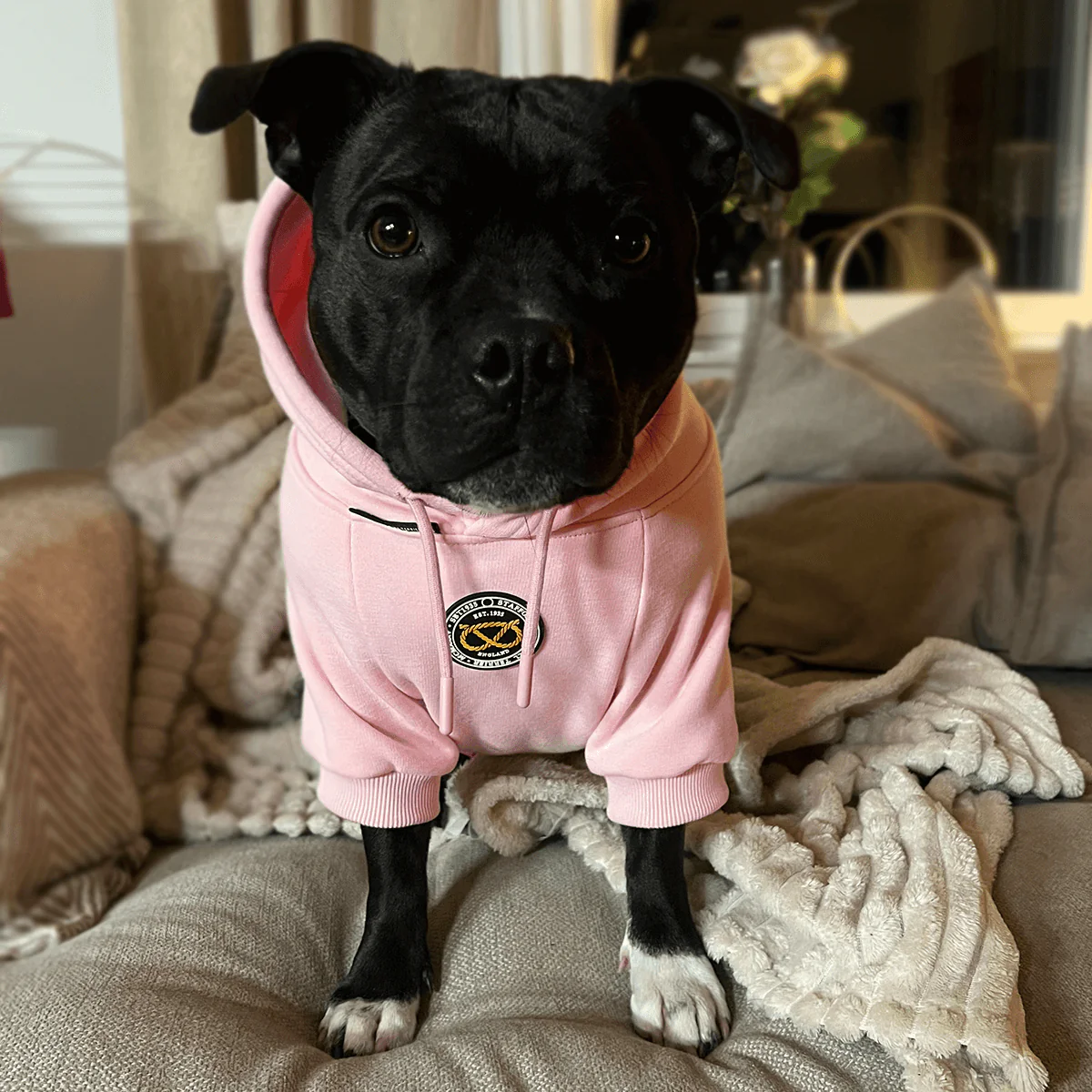 Staffordshire Bull Terrier 1935® Hoodies - Baby Pink - Bild 3