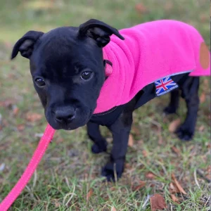 Staffordshire Bull Terrier 1935® Puppy Fleece Coat - Fuchsia