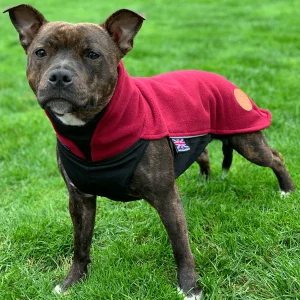 Staffordshire Bull Terrier 1935® Fleece Coat - Burgundy